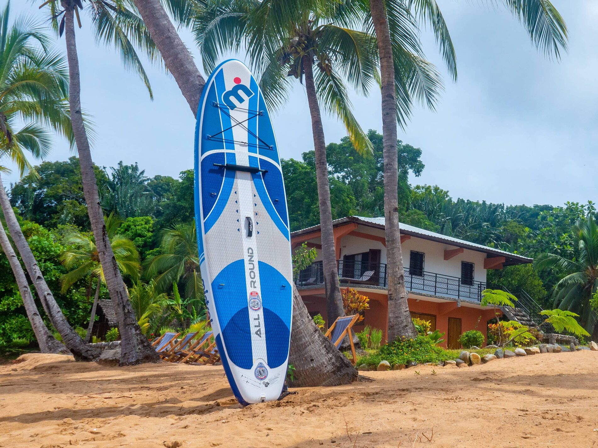 Paddle