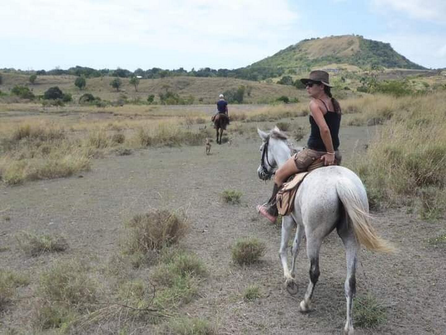 Cheval
