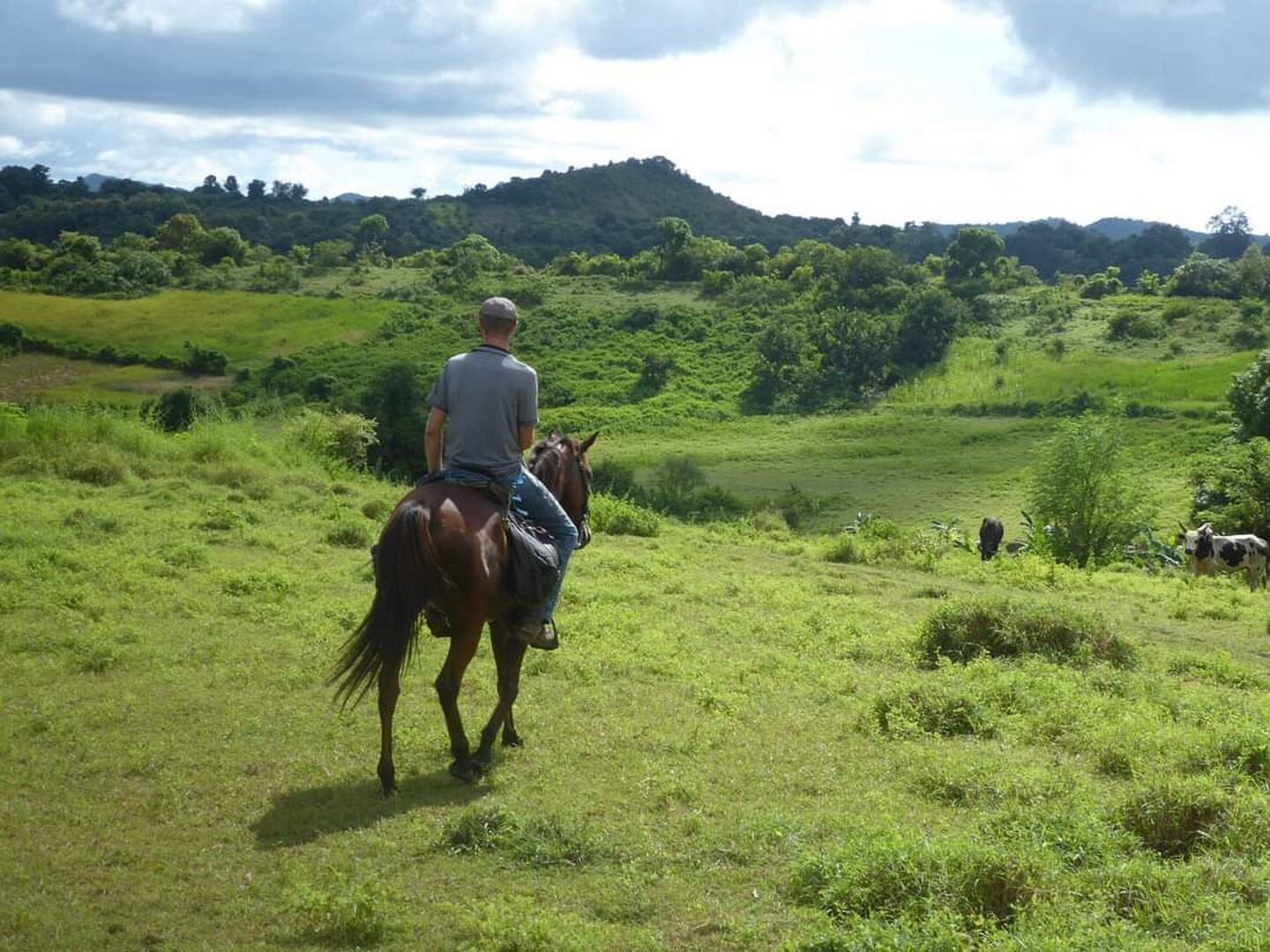 Cheval
