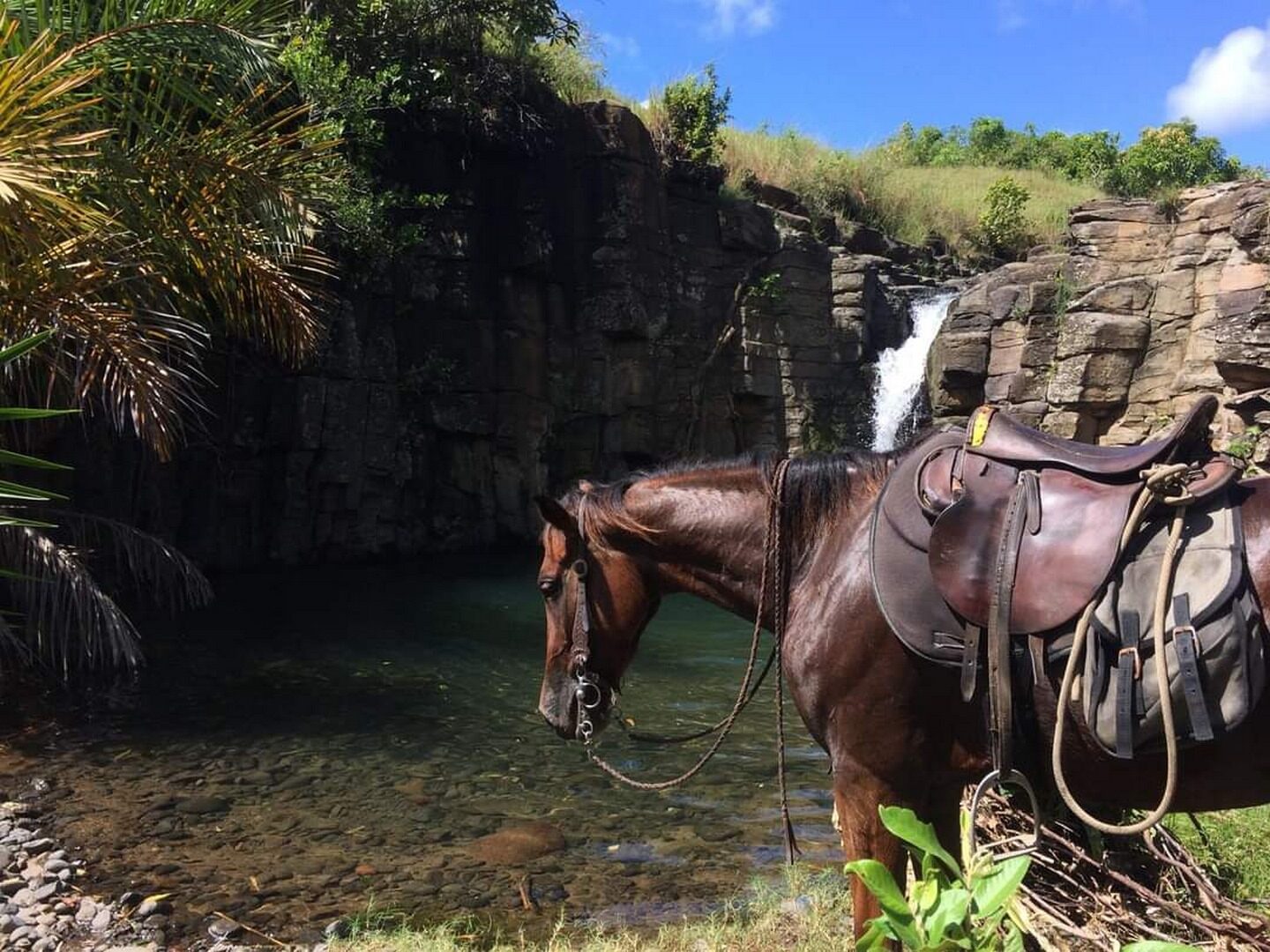 Cheval