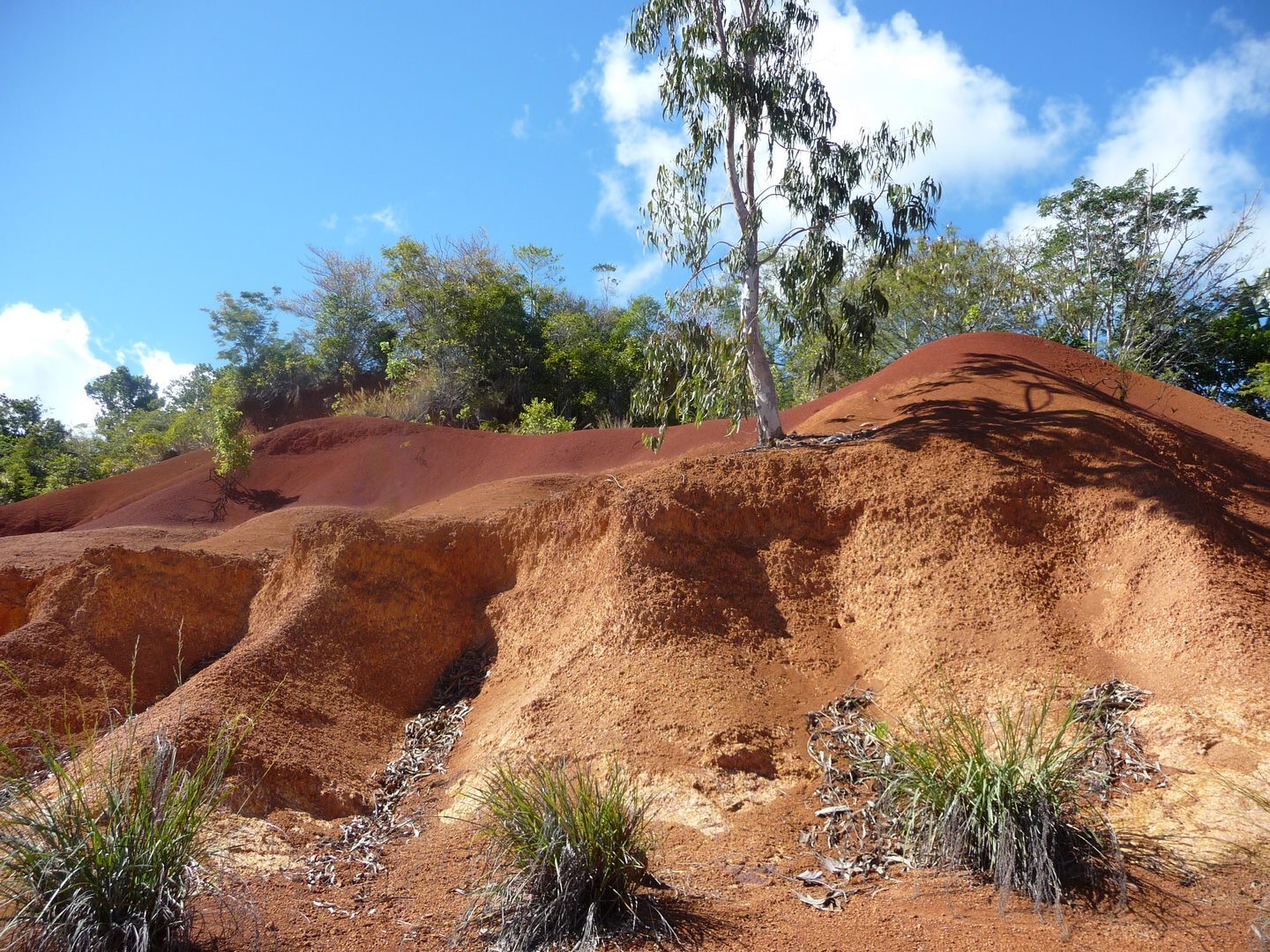 Trekking sur Sakatia