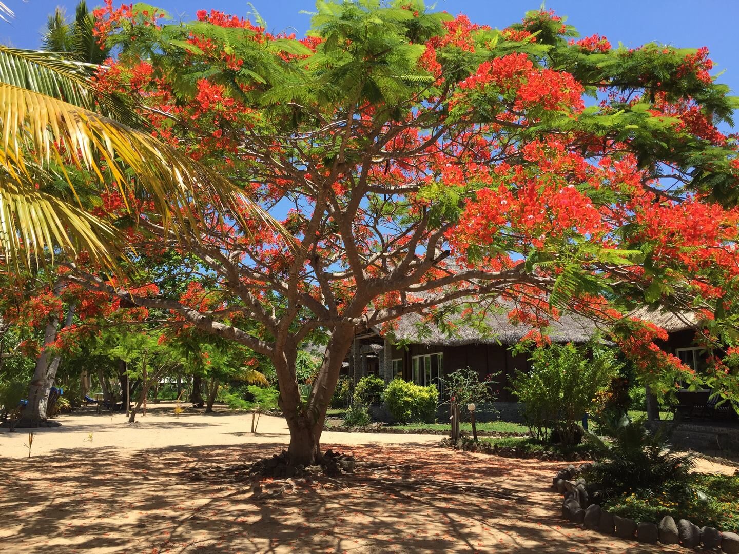 Trekking sur Sakatia